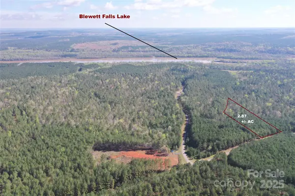 TBD Crossings CT #88, Lilesville, NC 28091
