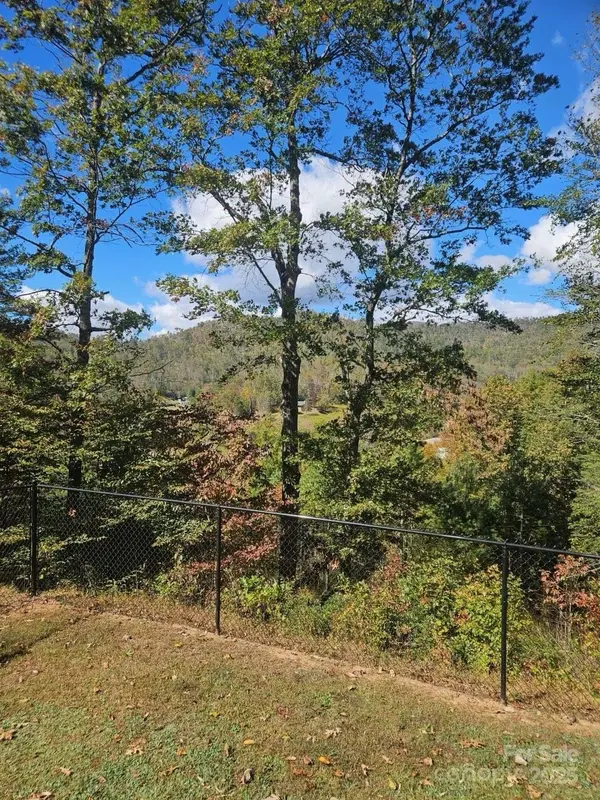 493 Spring Hill RD, Bakersville, NC 28705