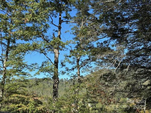 493 Spring Hill RD, Bakersville, NC 28705