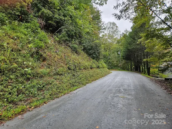 0 Rainbow CIR #8, Lake Lure, NC 28746
