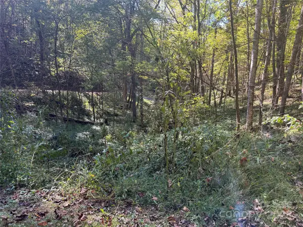 9 Susanna CV, Mars Hill, NC 28754