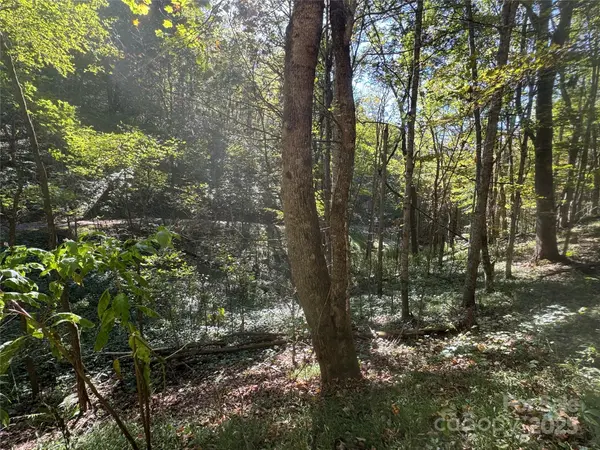 9 Susanna CV, Mars Hill, NC 28754