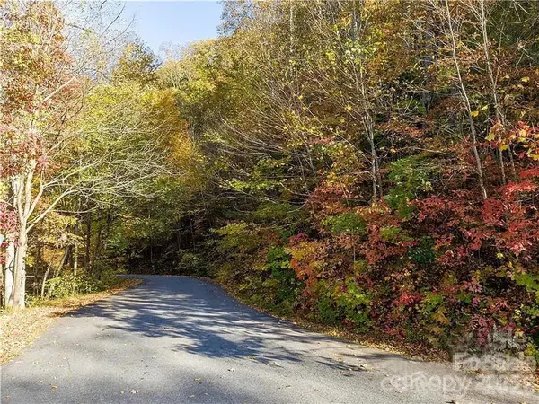 75 S Lindon Cove RD, Candler, NC 28715