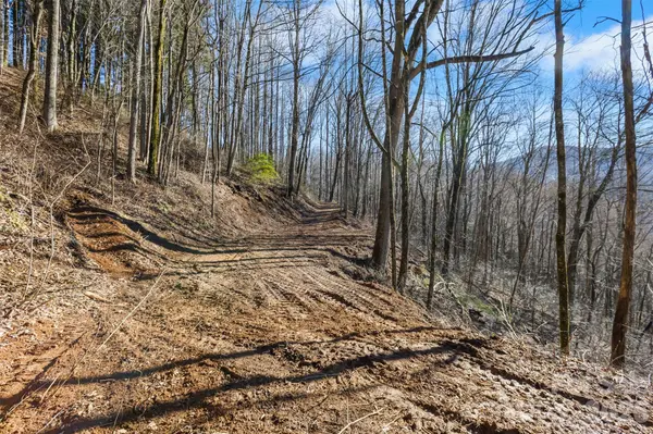 TBD Happy Ridge LN, Sylva, NC 28779