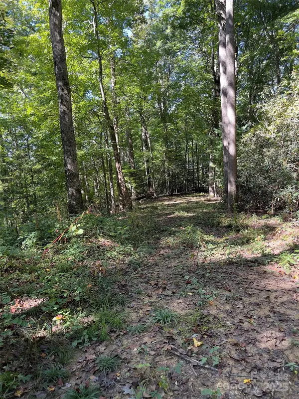 0 Empress LN, Henderson, NC 28792
