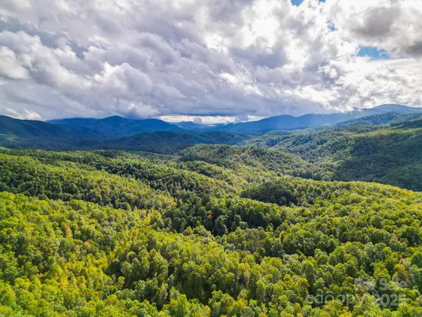 99999 Forest Brook DR, Black Mountain, NC 28711