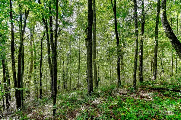 99999 Forest Brook DR, Black Mountain, NC 28711