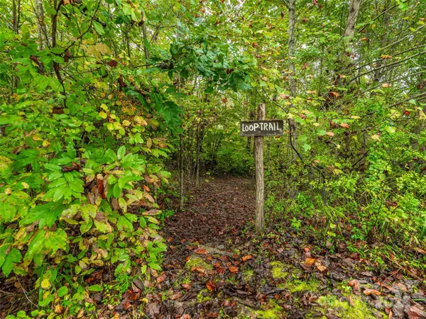 332 Millbrae LOOP, Hendersonville, NC 28791