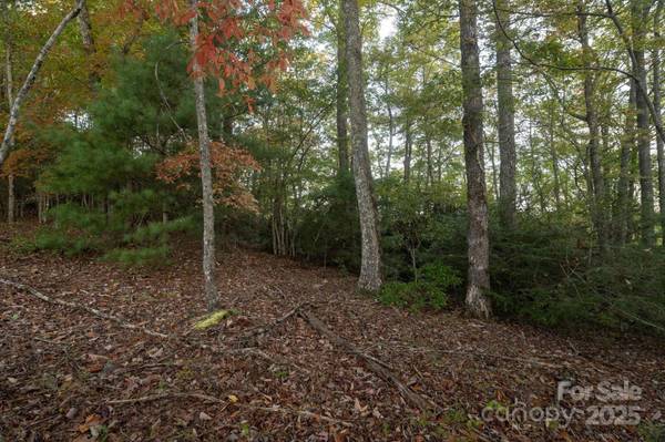 TBD Pine Mountain TRL #M8, Brevard, NC 28712