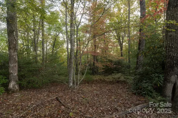 TBD Pine Mountain TRL #M9, Brevard, NC 28712