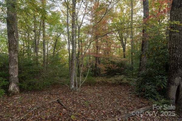 TBD Pine Mountain TRL #M9, Brevard, NC 28712