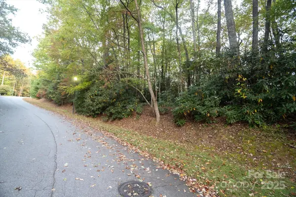 TBD Pine Mountain TRL #M8 & M9, Brevard, NC 28712