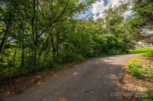 Lot 19 Line DR, Forest City, NC 28043