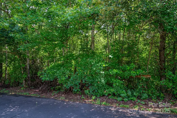 Lot 32 Line DR, Forest City, NC 28043