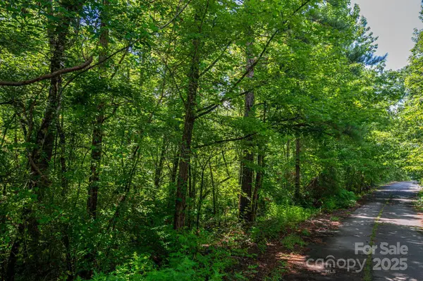 Lot 31 Line DR, Forest City, NC 28043