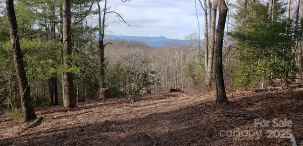 00 Bearwallow Mountain DR #191, Hendersonville, NC 28792