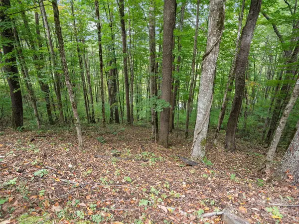 0 Macallan DR #16, Waynesville, NC 28786