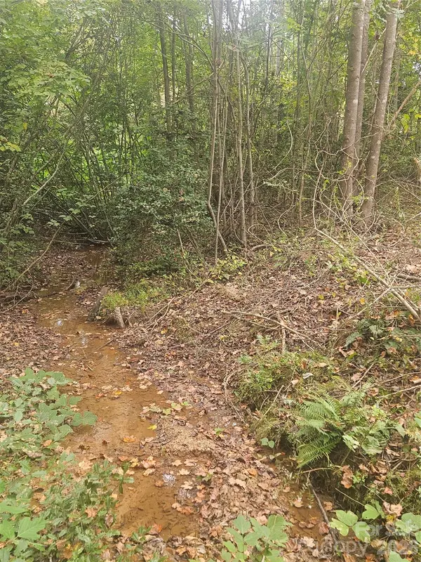 158 Dusty HOLW, Bostic, NC 28018