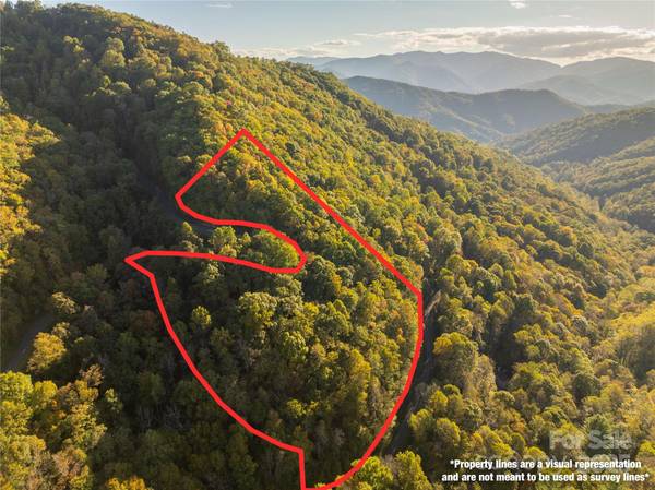 Lot 39 Brush Creek Mountain RD #39, Bryson City, NC 28713