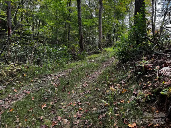 0 Mt Hebron RD, Old Fort, NC 28711