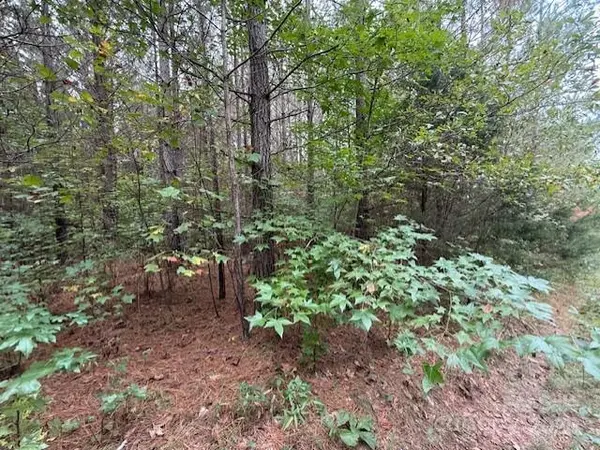 164 Blackburn DR, Grover, NC 28073