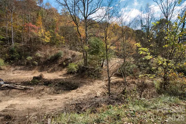 366 Renfro RD, Green Mountain, NC 28740