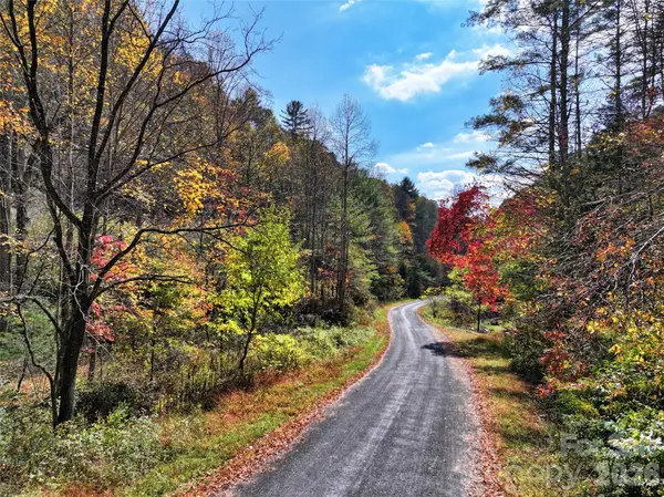 366 Renfro RD, Green Mountain, NC 28740