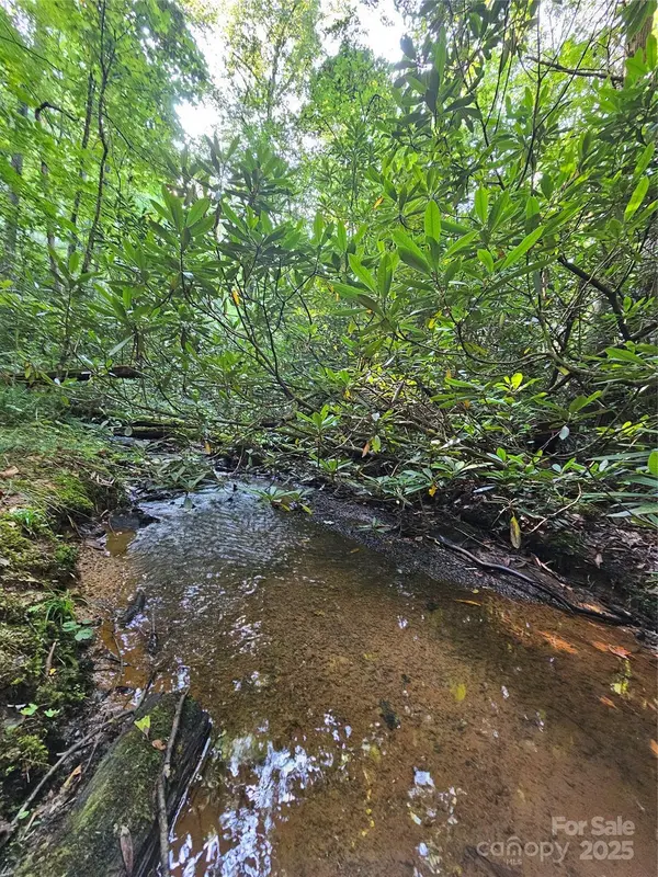 0000 Happy Acres RD, Brevard, NC 28712