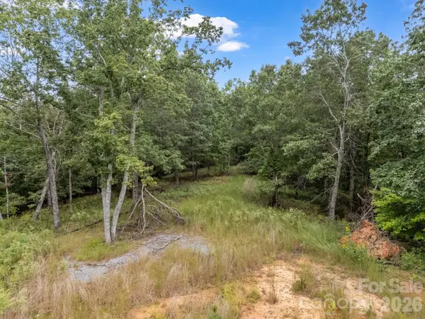 TBD N Highland Farms RD #6, Mill Spring, NC 28756