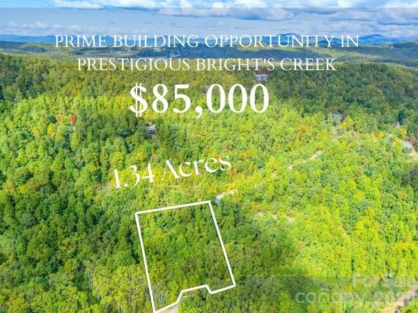 000 Deep Gap Farm DR #237-2021, Mill Spring, NC 28756