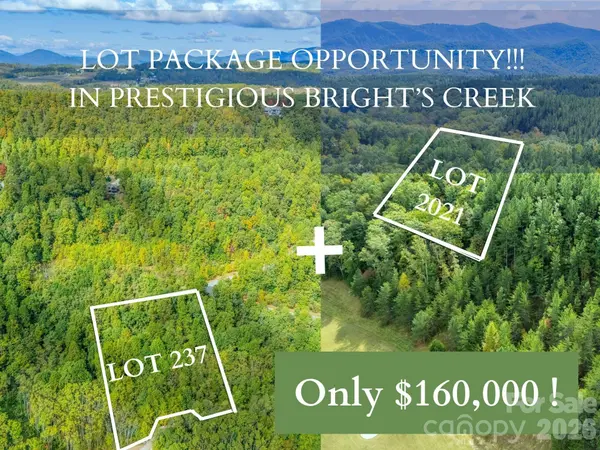 000 Deep Gap Farm DR #237-2021, Mill Spring, NC 28756