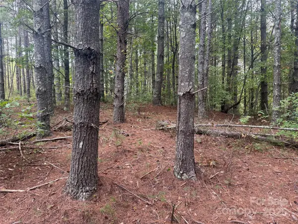 9587 Shortoff View TER #57, Nebo, NC 28761