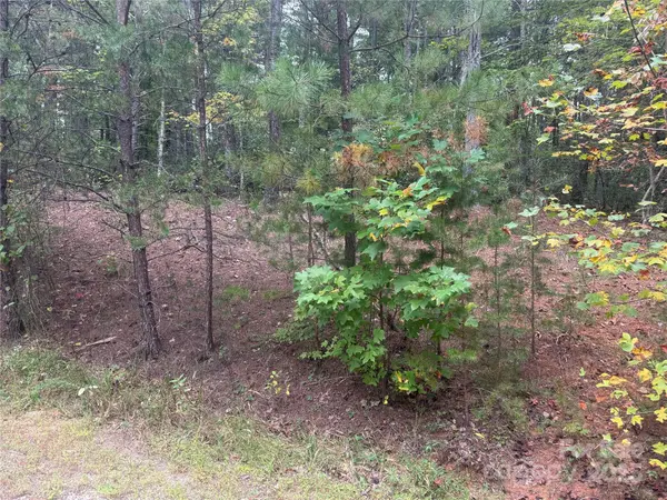9587 Shortoff View TER #57, Nebo, NC 28761