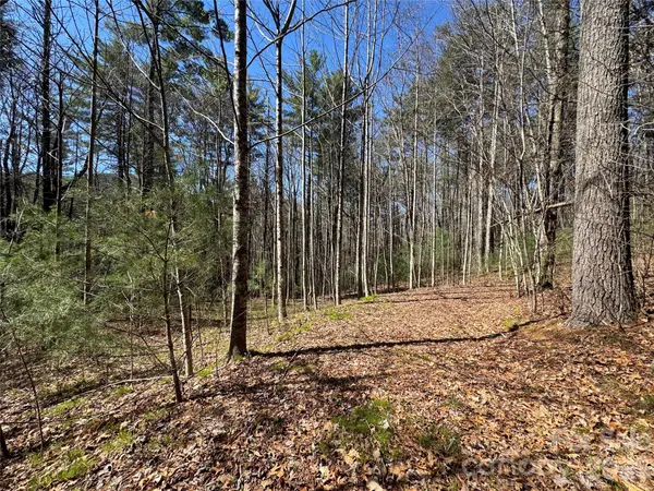 1 Bear Log RD, Cashiers, NC 28717