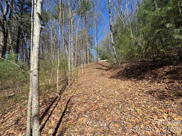 1 Bear Log RD, Cashiers, NC 28717