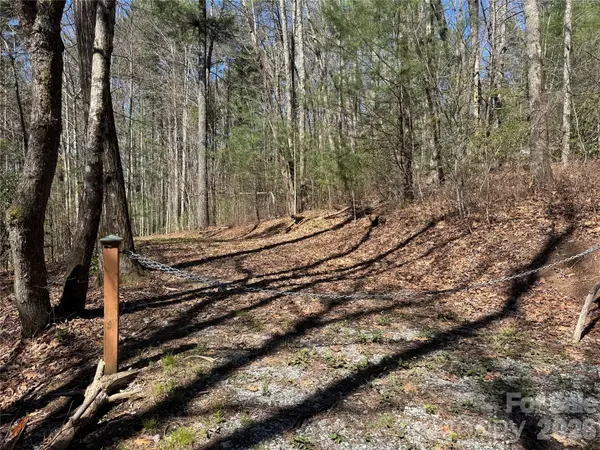 1 Bear Log RD, Cashiers, NC 28717