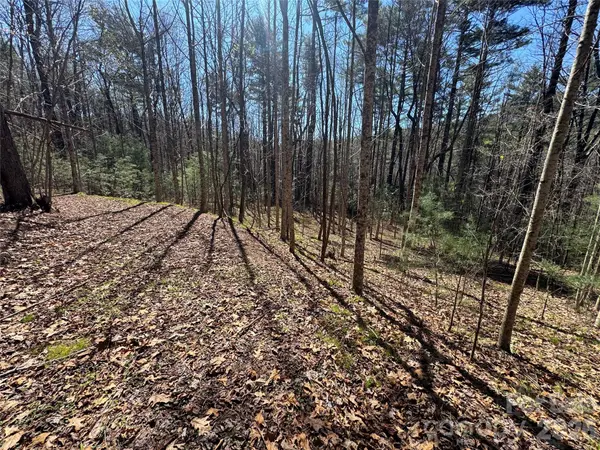 1 Bear Log RD, Cashiers, NC 28717