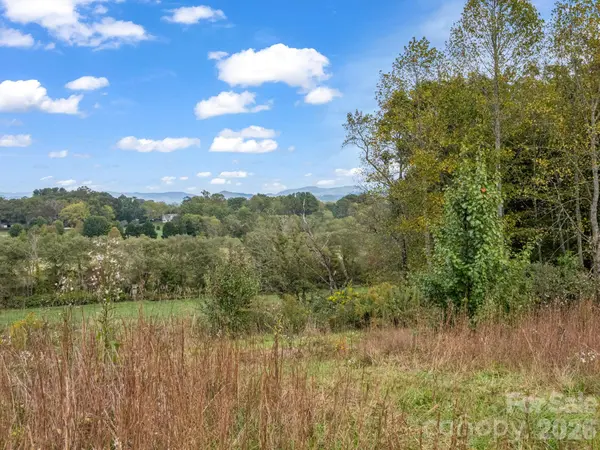 128 Cook LN, Mills River, NC 28759
