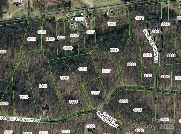 Lot 13 Song Sparrow DR #13, Marion, NC 28752