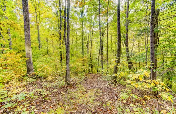 443 Glen Valley DR, Weaverville, NC 28787