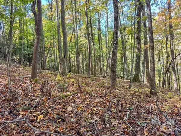 345 Christa LN, Arden, NC 28704