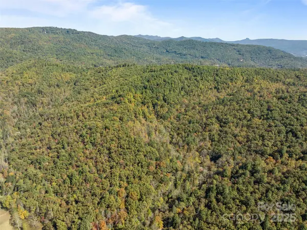 0000 Old Post Office RD, North Cove, NC 28752
