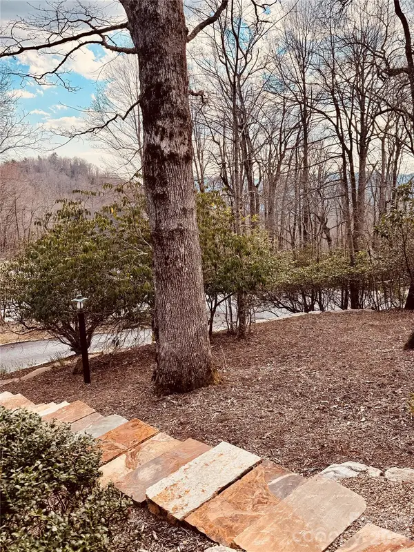 1955 Connestee TRL, Brevard, NC 28712