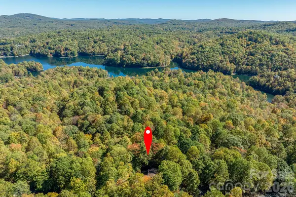 1955 Connestee TRL, Brevard, NC 28712
