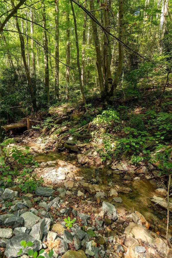 99999 Christian Creek RD, Swannanoa, NC 28778