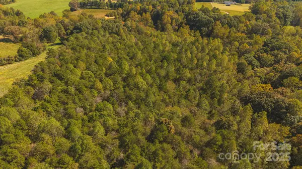TBD US Highway 21 HWY, Hamptonville, NC 27020