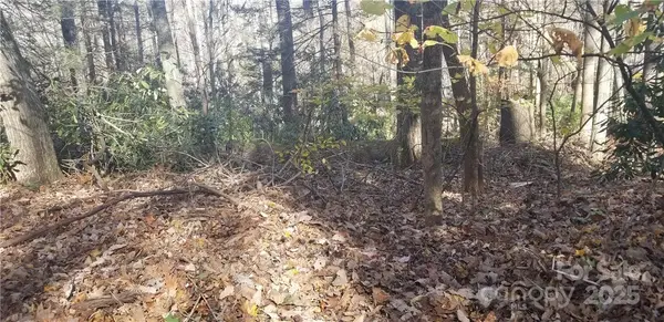 Lot C31 Shady LN, Maggie Valley, NC 28751