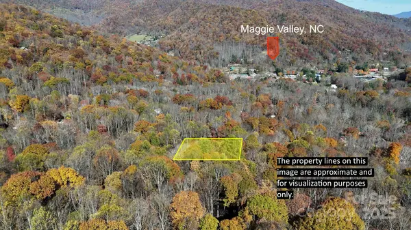 Lot C31 Shady LN, Maggie Valley, NC 28751