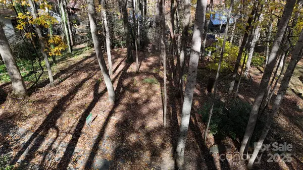 Lot C31 Shady LN, Maggie Valley, NC 28751