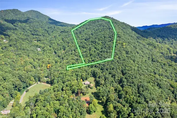 99999 Moody Cove RD, Weaverville, NC 28787